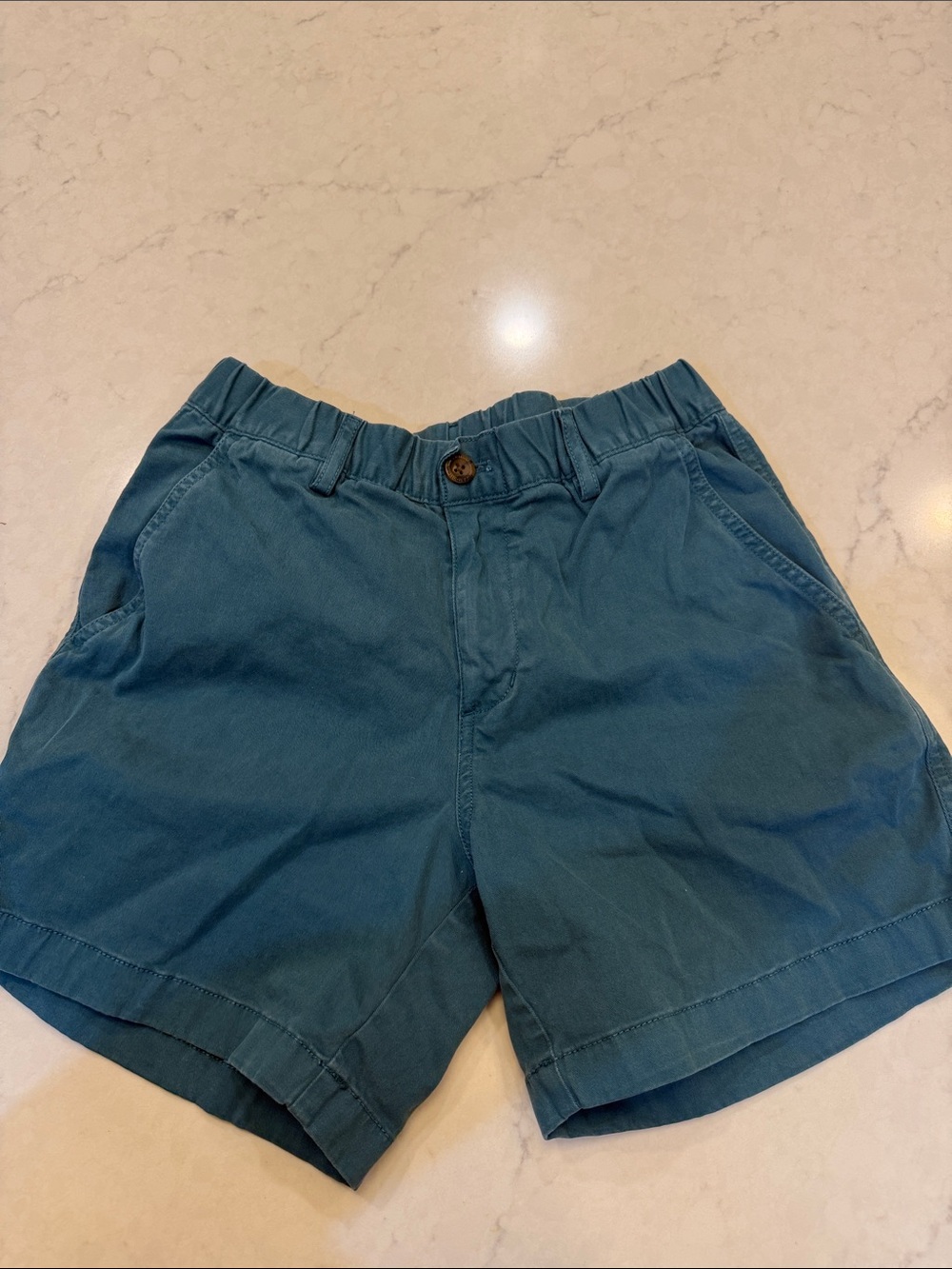 Bearbottom Stretch Shorts Size Small
